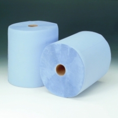 Papierrolle / Putzrolle